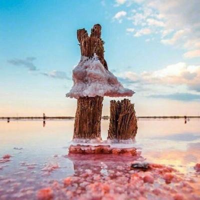 金年会手机app官方下载