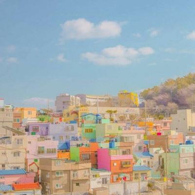 博鱼电竞app下载