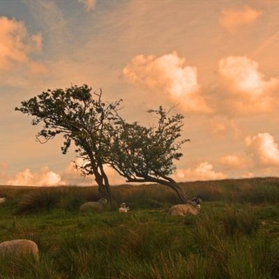 星空游戏手机app下载