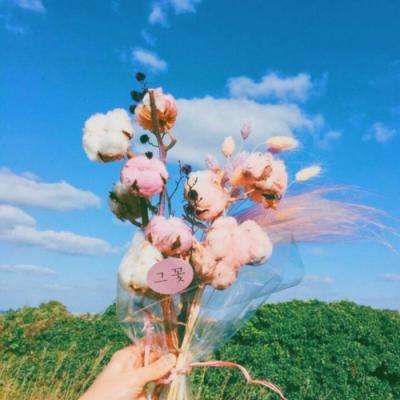 云开·全站APP下载