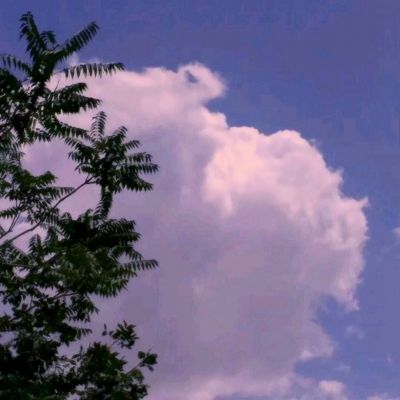 半岛彩票App下载